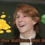 Erik Per Sullivan net worth