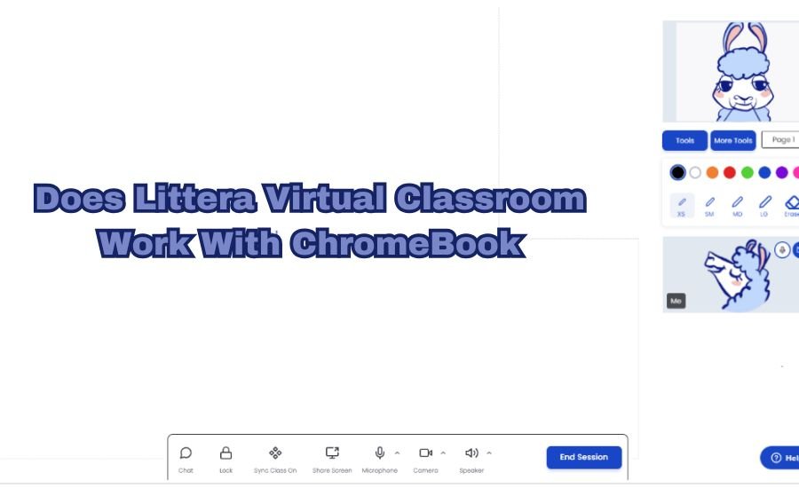 One such platform gaining popularity is the Littera Virtual Classroom, but many users are asking the question: Does Littera Virtual Classroom work with Chromebook